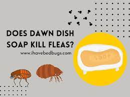 does dawn dish soap kill fleas simple