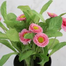 Buy Gardenia Aster Artificial Flowers