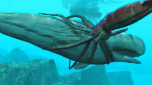 giant squid s white whale