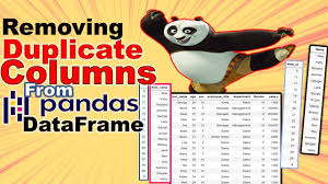 remove duplicate columns from a pandas