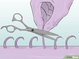 Do i have to do it? How To Shave Your Pubic Hair 13 Steps With Pictures Wikihow