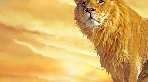 lion wallpapers best wallpapers