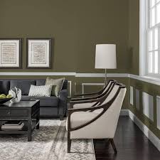 Olive Green Flat Matte Interior Paint