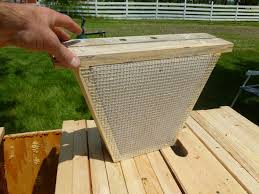 Top bar hives have been around for centuries. Candy Board Insert For Top Bar Hive 04 Bee Keeping Top Bar Hive Top Bar Bee Hive