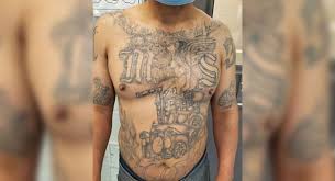Originally, the gang was set up to protect salvadoran immigrants from other gangs in the los angeles area. Mara Salvatrucha Ms 13 Gang Member Arrested Texas Border Business