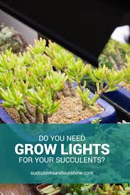 Maybe you would like to learn more about one of these? Choosing The Right Grow Light Do You Need A Grow Light Succulents And Sunshine