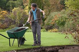 No Dig Gardening Rhs Gardening