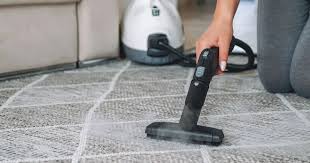 deep clean carpet with a steam cleaner