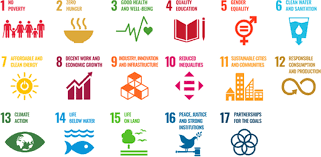 the 17 sustainable development goals