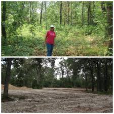 Before i get into the how to clear land by yourself, by hand, without a backhoe, let me explain why we would want to. Before And After Pix Of Our Land Cleared For Our House Land Clearing House With Land Backyard Fences