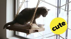 They can sleep or watch the world in these beds with more sunshine. Diy Cat Window Perch Youtube