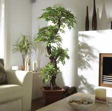 From painted linen to synthetic material, and sometimes real branches, artificial trees for home decor have evolved and come a long way. Japanese Fruticosa Artificial Tree Looks Amazing In Any Environment Artificial Plant Wall Artificial Plants Decor Artificial Plants Outdoor