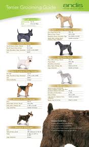 Pet Cutters Petcutters On Pinterest