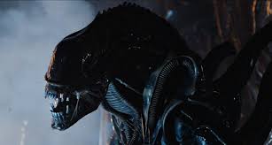 If you know, you know. Only True Alien Fans Will Get A Perfect Score In This Trivia Quiz