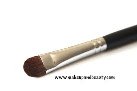 7 must have sigma makeup brushes