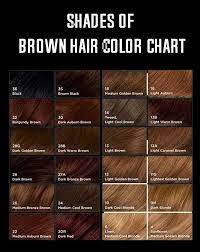 shades of brown hair color chart min