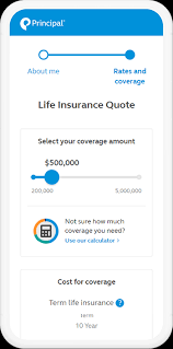 Principal has a totally different meaning. Calculate Your Life Insurance Needs Principal
