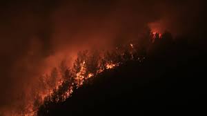 Marmaris'te orman yangınını çıkaran kişi tutuklandı