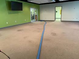 nu look carpet cleaning services