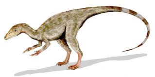 List Of Dinosaurs Dinosaur Names With Pictures Information