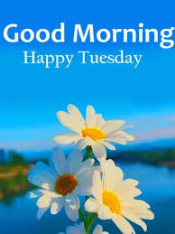 Tuesday morning | Good Morning Happy Tuesday: Wishes, images and quotes for  WhatsApp | Times Now