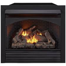 Procom 32 000 Btu Gas Fireplace Insert