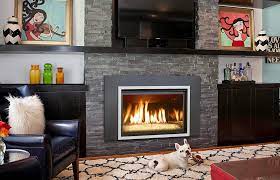 contemporary gas fireplace inserts