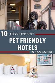 pet friendly hotels savannah ga