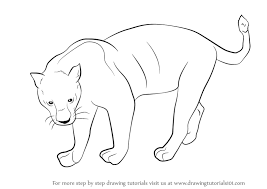 The oceans, lakes, and streams around us have so many animals we can learn to draw. Learn How To Draw A Black Panther Wild Animals Step By Step Drawing Tutorials