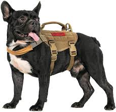 All about frenchies french bulldog harness review. Amazon Com Dog Vest Harness Tactical Dog Harness With Durable Vertical Handle For Small Medium Puppy Dog Xs Neck 11 17 Chest 15 22 Kitchen Dining