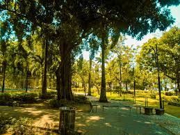 Cd tuban (0353) 321385 / 0853 2987 4432 jl. Kebon Rojo Park Taman Kuliner Dan Permainan Anak Di Tengah Jombang