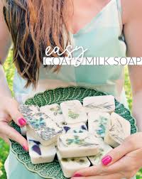 easy diy goat s milk bar soap jenni