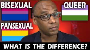 Pansexual people may be described as being gender blind showing that gender is not a factor in their attraction to a person. Bisexual Vs Pansexual And Queer Bisexual Definition Youtube