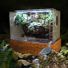 Vivarium Paludarium Aquarium Turtle Tank With Background Uva Light Basking Platform Rainforest Kit With Brick Pattern Base Buy At The Price Of 200 00 In Aliexpress Com Imall Com