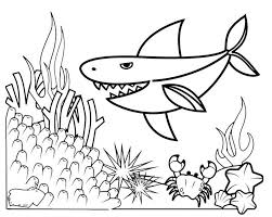 It is, no doubt, a pure gem of artistic expression. Baby Shark And Coral Reefs Coloring Page Mitraland