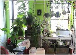 create indoor vertical garden