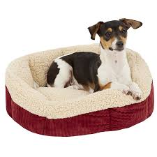 what is the best dog bed a ing