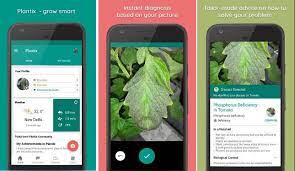 We tested the top two plant id apps to determine which one makes the best gardening when it comes to plant id apps, accurate plant identification is kind of key, so let's address that first. Top 5 Best Plant Identification Apps 2021