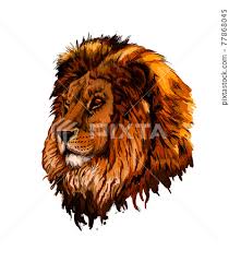 lion head portrait from a splash of