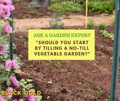 Tilling A No Till Vegetable Garden