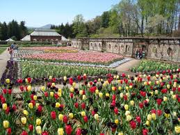 Maybe you would like to learn more about one of these? Category See Biltmore Estate Asheville Vacation Homes