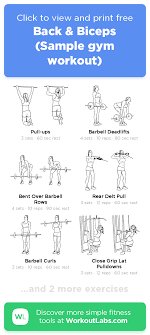 Back Biceps Sample Gym Workout Workoutlabs Fit