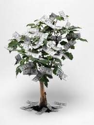 Here are 9 diy money trees that you can make at home and give as gifts for christmas and the they say money doesn't grow on trees, but that doesn't mean you can't create a tree out of money. How To Make A Money Tree For A Party Lovetoknow