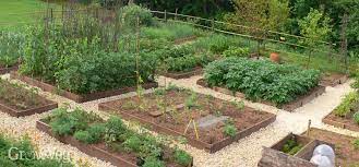 How To Plan A Vegetable Garden A Step