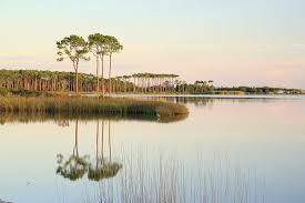 review of grayton beach state park