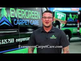 evergreen carpet care area rug