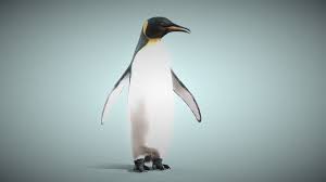 penguins 3d models sketchfab