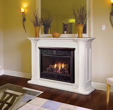 fireplace ventless gas logs