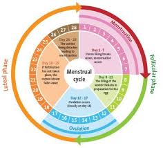 Pin On Fertility Health