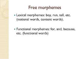 Eloise constancio de castro's answer to what are the examples of lexical morphemes? The Morpheme Structure Of The Word The Morpheme